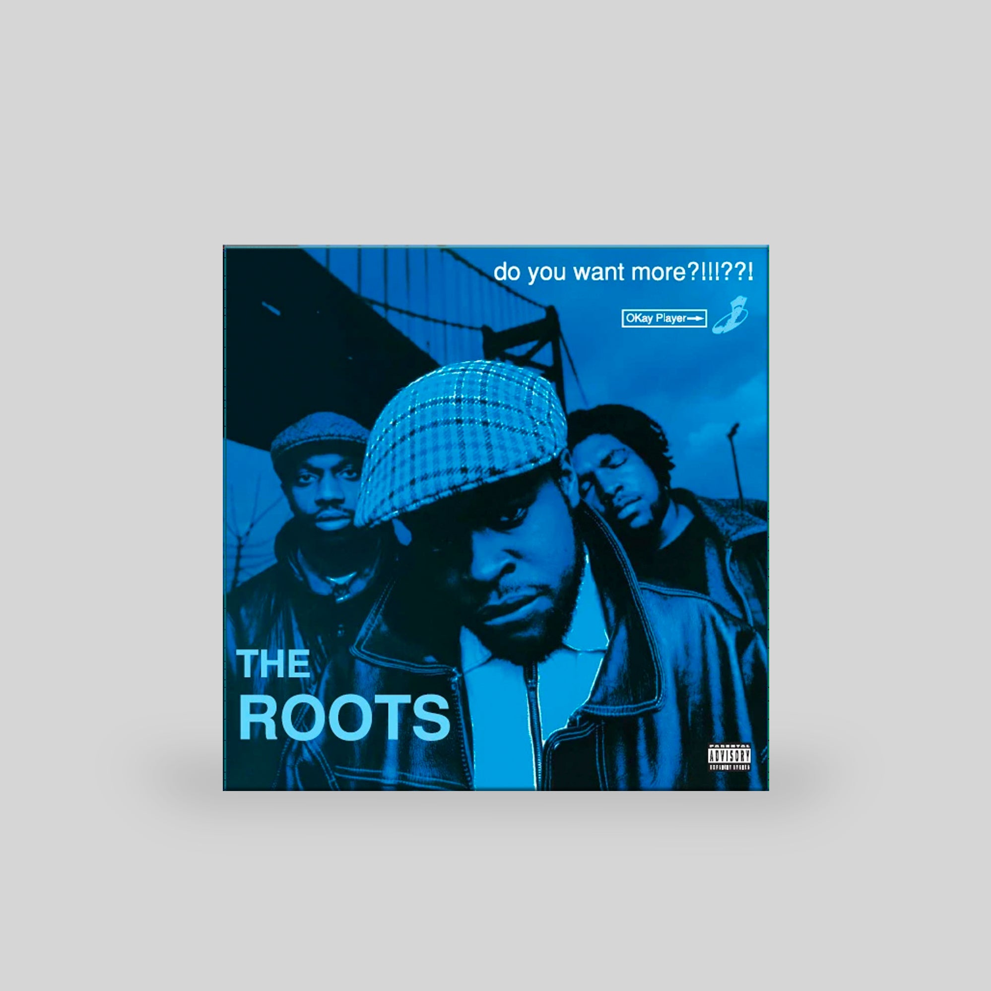 The hot Roots - Do You Want More vinyl record